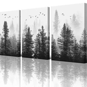 Large Canvas Wall art Forest Picture Living room Decoration Black and White art Landscape Wall art Gable Decoration Morning fog Mountain Art Fog Forest Bird 40cmX60cm X3 Panel Modern Home Decoration