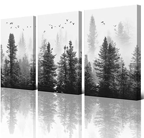 Large Canvas Wall art Forest Picture Living room Decoration Black and White art Landscape Wall art Gable Decoration Morning fog Mountain Art Fog Forest Bird 40cmX60cm X3 Panel Modern Home Decoration