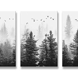 Large Canvas Wall art Forest Picture Living room Decoration Black and White art Landscape Wall art Gable Decoration Morning fog Mountain Art Fog Forest Bird 40cmX60cm X3 Panel Modern Home Decoration