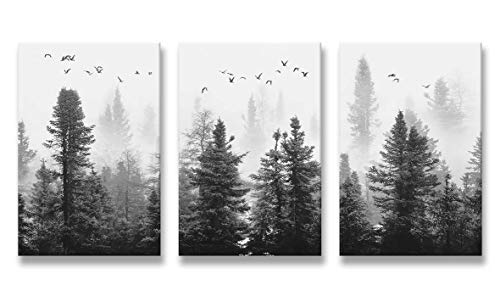 Large Canvas Wall art Forest Picture Living room Decoration Black and White art Landscape Wall art Gable Decoration Morning fog Mountain Art Fog Forest Bird 40cmX60cm X3 Panel Modern Home Decoration