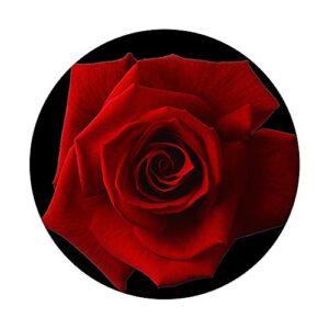 Cellphone Pop Out Holder Red Rose Flower Design Floral Black PopSockets PopGrip: Swappable Grip for Phones & Tablets