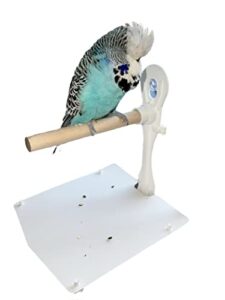stick on bird perch/window perch for small - medium birds. (has removable droppings tray) portable shower bird perch stand