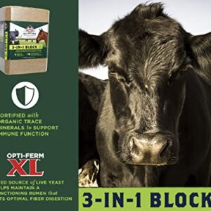 3 in 1 Block for Cattle and Horses, 40 lb