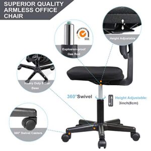 RIMIKING Mesh Low-Back Ergonomic Swivel Chair Computer Chair Task Chair Desk Chair Armless Home Office Chair, Adjustable Height, Black