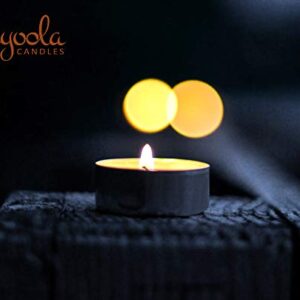 HYOOLA Beeswax Tealight Candles in Aluminum Cup - 48 Pack - 100% Pure Natural Beeswax Candles