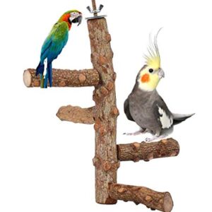 ChummyPet Bird Perch Parrot Nature Wood Stand Activity Branch Stand Bite Toy Natural Birdcage Platform pet Toys Playground for Cockatiel Parakeet, H 25CM