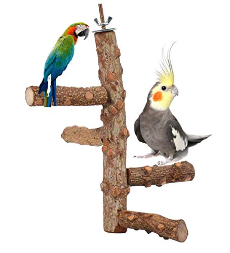 ChummyPet Bird Perch Parrot Nature Wood Stand Activity Branch Stand Bite Toy Natural Birdcage Platform pet Toys Playground for Cockatiel Parakeet, H 25CM