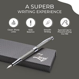 ZenZoi Gray Fountain Pen | Luxury Fountain Pen, Executive Pen for Men, Women | Pen Gift Box W/Refillable Metal Pen, Fine Nib, Converter & 2 Ink Refill | Elegant, Quality, Fountain Pens for Writing