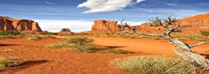 Reptile Habitat Background; Monument Valley with Tree, for Zoo Med 40 gal. 36Lx18Wx18H Terrarium, 3-Sided Wraparound