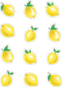 teacher created resources lemon zest mini accents (tcr8481)