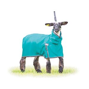 weaver leather procool™ sheep blanket, medium, teal
