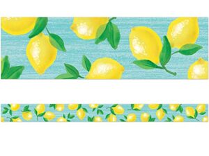 teacher created resources lemon zest straight border trim