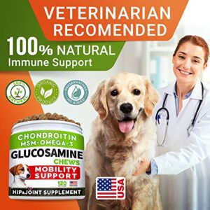 Glucosamine Treats for Dogs - Joint Supplement w/ Omega-3 Fish Oil - Chondroitin, MSM - Advanced Mobility Chews - Joint Pain Relief - Hip & Joint Care - Chicken Flavor - 120 Ct - Made in USA