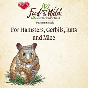 Kaytee 3 Pack of Food from The Wild Natural Snack, 2 Ounces Each, Foraging Treat for Hamsters, Gerbils, Rats and Mice