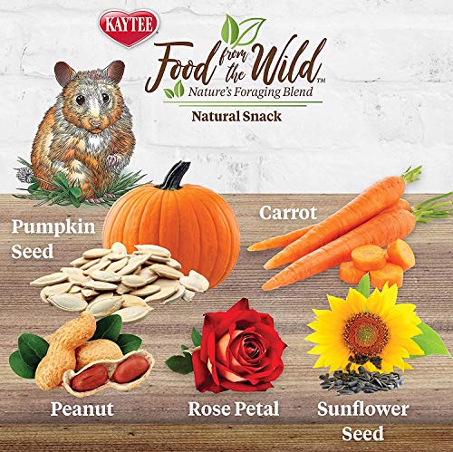 Kaytee 3 Pack of Food from The Wild Natural Snack, 2 Ounces Each, Foraging Treat for Hamsters, Gerbils, Rats and Mice