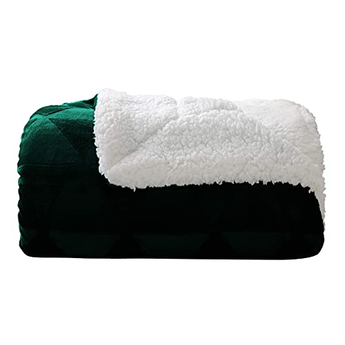 Exclusivo Mezcla 50” x 70” Large Throw Blanket, Sherpa Reversible Brushed Flannel Fleece Plush Blanket, Stylish Decorative, Lightweight, Soft and Warm Forest Green