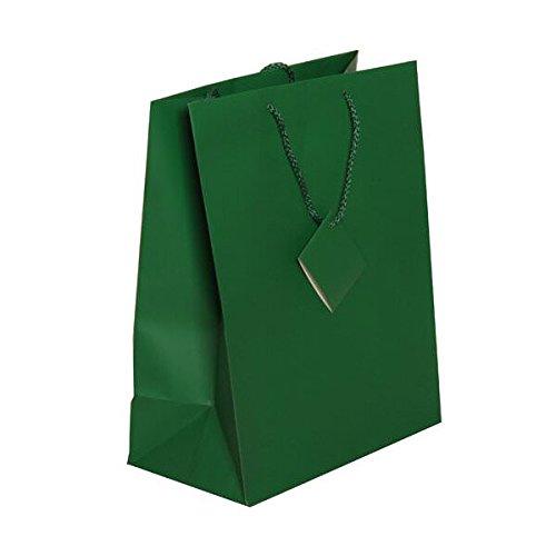 JAM PAPER Gift Bags with Rope Handles - Large - 10 x 13 x 5 - Green Matte - 3/Pack