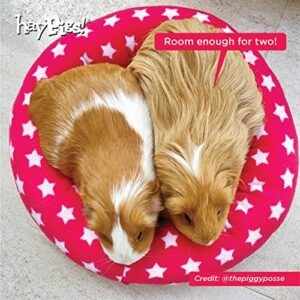 HAYPIGS Guinea Pig Toys and Accessories Circus Themed Fleece Bundle - Guinea Pig House - Guinea Pig Hideaway - Guinea Pig Bed - Guinea Pig Bedding - 4 x Absorbent Washable Pee Litter Pads