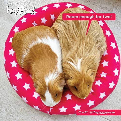 HAYPIGS Guinea Pig Toys and Accessories Circus Themed Fleece Bundle - Guinea Pig House - Guinea Pig Hideaway - Guinea Pig Bed - Guinea Pig Bedding - 4 x Absorbent Washable Pee Litter Pads