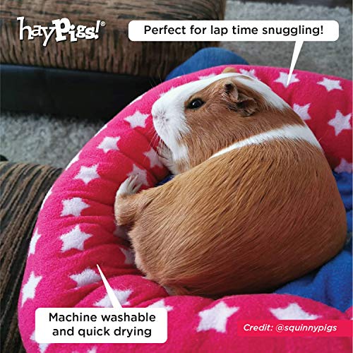 HAYPIGS Guinea Pig Toys and Accessories Circus Themed Fleece Bundle - Guinea Pig House - Guinea Pig Hideaway - Guinea Pig Bed - Guinea Pig Bedding - 4 x Absorbent Washable Pee Litter Pads