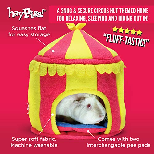 HAYPIGS Guinea Pig Toys and Accessories Circus Themed Fleece Bundle - Guinea Pig House - Guinea Pig Hideaway - Guinea Pig Bed - Guinea Pig Bedding - 4 x Absorbent Washable Pee Litter Pads