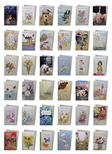 variety boxed greeting card assortment by fravessi | 36 card pack + 36 white envelopes (4x6) | humorous
