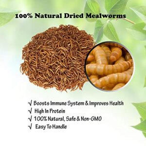 Amzey Dried Mealworms - 2 Pack 3.5OZ (7OZ Total) - High Protein Non GMO Mealworms - Great for Bearded Dragon, Birds, Fish, Lizard, Ducks, Chickens, Hamsters, Hedgehogs,Turtle Food, Reptile Food