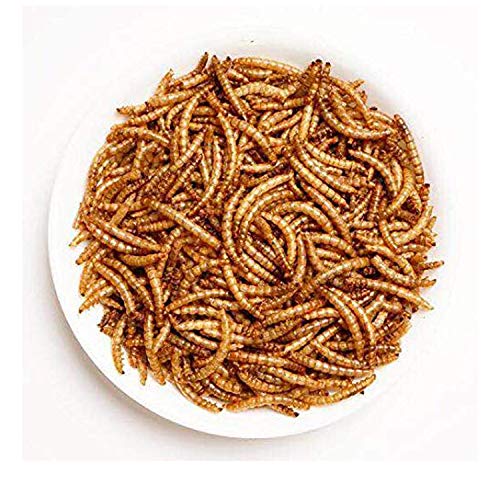 Amzey Dried Mealworms - 2 Pack 3.5OZ (7OZ Total) - High Protein Non GMO Mealworms - Great for Bearded Dragon, Birds, Fish, Lizard, Ducks, Chickens, Hamsters, Hedgehogs,Turtle Food, Reptile Food