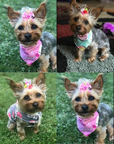 Masue Pets 50pcs in Pairs Dog Hair Bows with Rubber Bands Rhinestone Pearls Bows Bowknot Bows Dog Topknot Bows Cute Dog Hair