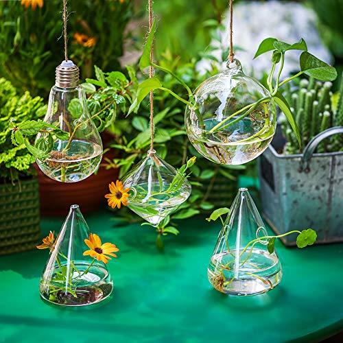 Hanging Glass Planter Plant Terrarium, 5Pcs Glasseam Propagation Stations for Plants Modern Propogation Station Wall Vase Planters Hydroponic Vases for Air Plant Flowers Indoor Window Home Decor