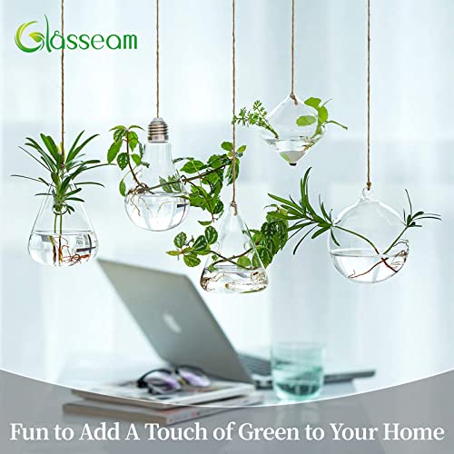 Hanging Glass Planter Plant Terrarium, 5Pcs Glasseam Propagation Stations for Plants Modern Propogation Station Wall Vase Planters Hydroponic Vases for Air Plant Flowers Indoor Window Home Decor