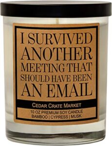 i survived another meeting that should have been an email - funny candles gift for women, men, funny gift for coworkers, boss, friendship gifts, work from home gift, boss lady gifts for women, besties