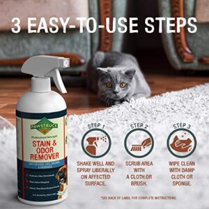 Pawstruck Professional Strength Stain & Odor Remover - Natural Enzyme Cleaner (Bulk 32oz) for Dog & Cat Urine, Waste, Wine, Blood, Vomit, etc. Safe & Effective Pet Smell Eliminator for Carpet, Hardwood & More