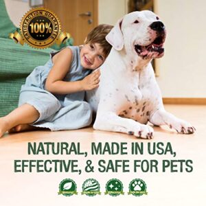 Pawstruck Professional Strength Stain & Odor Remover - Natural Enzyme Cleaner (Bulk 32oz) for Dog & Cat Urine, Waste, Wine, Blood, Vomit, etc. Safe & Effective Pet Smell Eliminator for Carpet, Hardwood & More