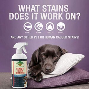 Pawstruck Professional Strength Stain & Odor Remover - Natural Enzyme Cleaner (Bulk 32oz) for Dog & Cat Urine, Waste, Wine, Blood, Vomit, etc. Safe & Effective Pet Smell Eliminator for Carpet, Hardwood & More