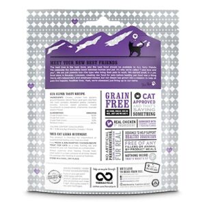 I and love and you Meow and Zen Hearties, Coat Support Grain Free Cat Treats, Salmon Recipe With Omegas 3 and 6, Model Number: T11305 4 Ounce (Pack of 1)