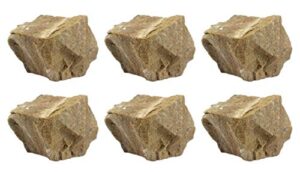 6pk raw white sandstone, sedimentary rock specimens - approx. 1" - geologist selected & hand processed - great for science classrooms - class pack - eisco labs