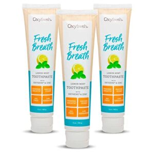 premium oxyfresh maximum fresh breath lemon mint toothpaste - clean teeth & fresh breath - natural essential oils & natural xylitol to help fight tartar - sls & fluoride free, 3-5oz