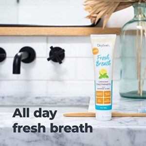 Premium Oxyfresh Maximum Fresh Breath Lemon Mint Toothpaste - Clean Teeth & Fresh Breath - Natural Essential Oils & Natural Xylitol to Help Fight Tartar - SLS & Fluoride Free, 3-5oz