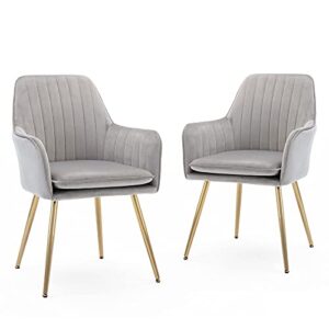 Five stars Furniture Velvet Dining Chair，Accent Chair, Modern Leisure Armchair Living Room Chair，Home Desk Chair，Golden Metal Legs (Light Gray) Set of 2