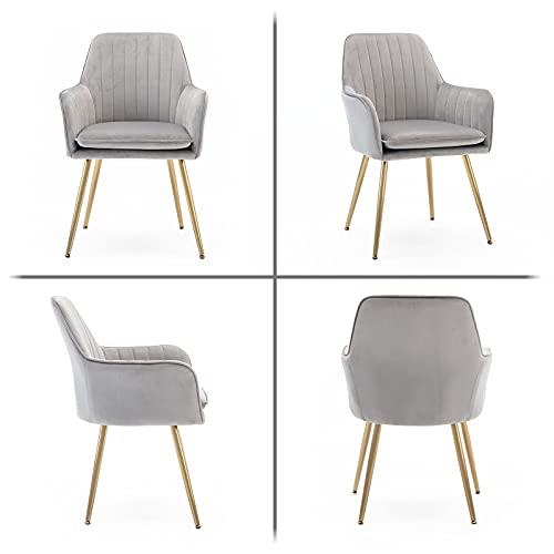 Five stars Furniture Velvet Dining Chair，Accent Chair, Modern Leisure Armchair Living Room Chair，Home Desk Chair，Golden Metal Legs (Light Gray) Set of 2