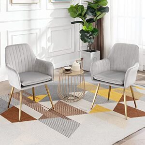Five stars Furniture Velvet Dining Chair，Accent Chair, Modern Leisure Armchair Living Room Chair，Home Desk Chair，Golden Metal Legs (Light Gray) Set of 2