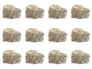 12pk raw fossiliferous limestone, sedimentary rock specimens - approx. 1" - geologist selected & hand processed - great for science classrooms - class pack - eisco labs