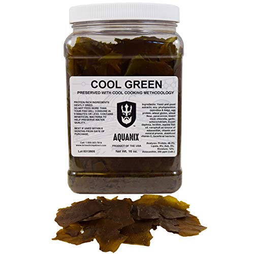 Brine Shrimp Direct Cool Green Spirulina and Kelp Tropical Fish Flake, 16 oz. (454 g)