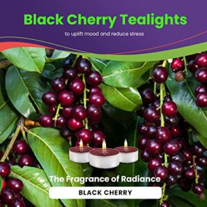 Black Cherry Candle Scented Candles Tea Lights Candles - Black Cherry Tealights - 30 Pack - Black Cherry Tea Lights with 3-4 Hour Burn Time Tea Candles - TeaLight Candles for Holiday, Wedding and Home