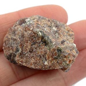 Raw Garnet, Mineral Specimen - Approx. 1" - Geologist Selected & Hand Processed - Great for Science Classrooms - Eisco Labs