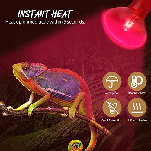 AOMRYOM 100W 2 Pack Infrared Heat Lamp Bulb Red Light Heat Bulbs for Pet Lizards Bearded Dragons Chameleons Snakes Reptiles & Amphibians