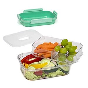 goodful lunch box with removable ice pack,leak proof lid, microwave safe, freezer safe, dishwasher safe, made from tritan material- keeps odor, tastes and stain free, 4.23 cups