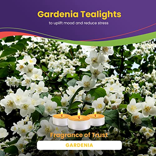 Gardenia Candle Scented Candles Tea Lights Candles - Gardenia Candle - 30 Pack - Gardenia Candle Tea Lights with 3-4 Hour Burn Time Tea Candles - TeaLight Candles for Holiday, Wedding and Home