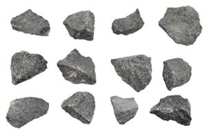 12pk raw peridotite, igneous rock specimens - approx. 1" - geologist selected & hand processed - great for science classrooms - class pack - eisco labs